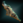 CaptiveBashirsMakeshiftCrowbar.png