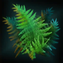 EvolvedJanewaysFlora.png