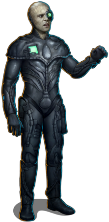 Assimilated Bashir